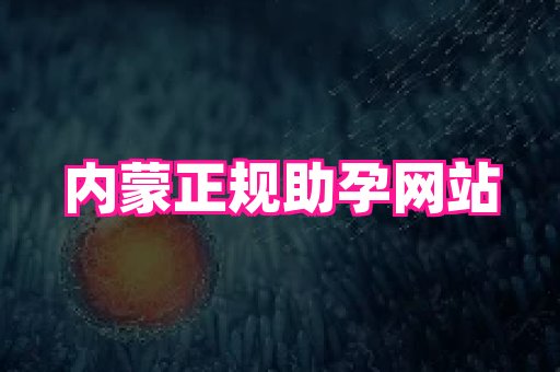 swisee孕网 1
