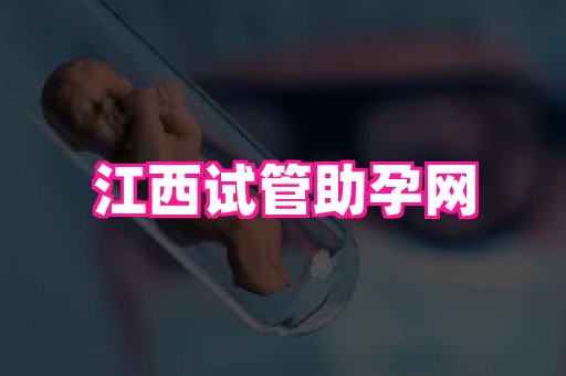 swisee孕网 3