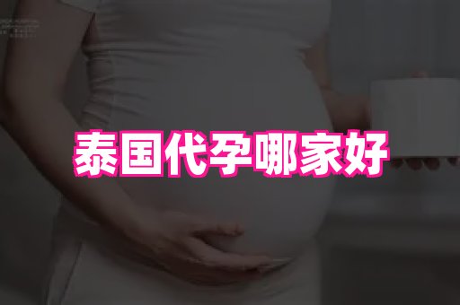 swisee孕网 4